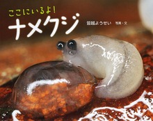 ここにいるよ！ ナメクジ