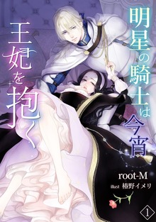 明星の騎士は今宵王妃を抱く（アマゾナイトノベルズ）