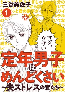 定年男子はめんどくさい ～夫ストレスの妻たち～（秋田書店）