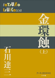 金環蝕（P+D BOOKS）