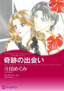 王子に魅せられて