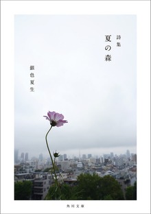 【写真詩集】夏の森