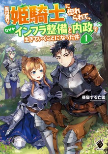 異世界で姫騎士に惚れられて、なぜかインフラ整備と内政で生きていくことになった件（MFブックス）