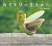 カマキリの生きかた ～さすらいのハンター～（小学館の図鑑NEOの科学絵本）
