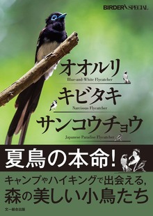 オオルリ・キビタキ・サンコウチョウ