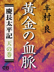 慶長太平記（シティブックス）
