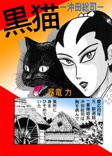 黒猫～沖田総司～