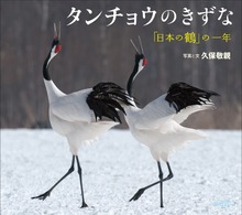 タンチョウのきずな ～「日本の鶴」の一年～（小学館の図鑑NEOの科学絵本）
