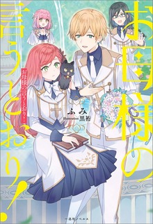 お母様の言うとおり！（一迅社ノベルス）