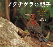 ノグチゲラの親子 ～沖縄やんばるの森にすむキツツキのおはなし～（小学館の図鑑NEOの科学絵本）