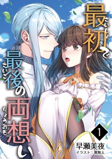最初で最後の両想い（アマゾナイトノベルズ）
