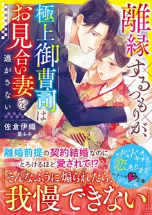 離縁するつもりが、極上御曹司はお見合い妻を逃がさない
