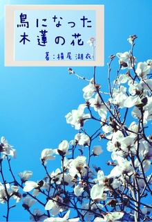 鳥になった木蓮の花