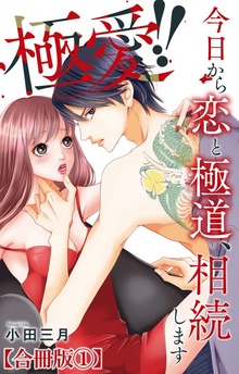 極愛!! 今日から恋と極道、相続します【合冊版】（素敵なロマンス）