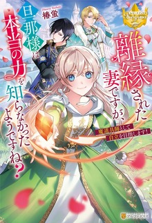 離縁された妻ですが、旦那様は本当の力を知らなかったようですね？（レジーナブックス）