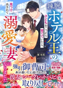 〈水縹ホテル三兄妹の至高の溺愛シリーズ〉辣腕ホテル王の子どもをこっそり育てていたら、見つけ出されて溺愛妻になりました
