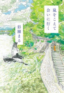嵐をこえて会いに行く