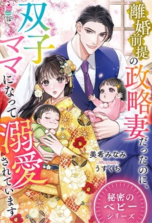 秘密のベビーシリーズ