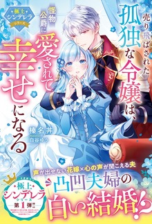 極上シンデレラシリーズ（ベリーズファンタジー）