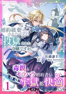 婚約破棄されたうえに投獄された令嬢ですが、毒親もモラハラ婚約者もいない牢獄は快適です（ミーティアノベルス）