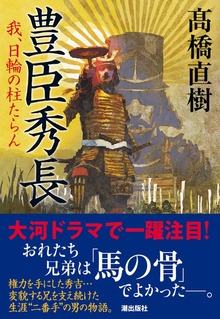 豊臣秀長 我、日輪の柱たらん