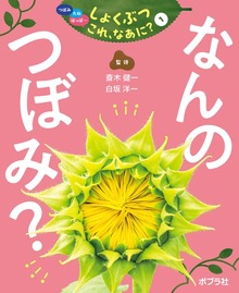 つぼみ・たね・はっぱ・・・ しょくぶつ これ、なあに？（ポプラ社）