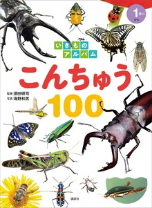 いきものアルバム こんちゅう１００