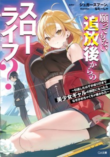 願ってもない追放後からのスローライフ？