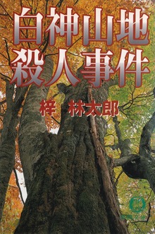 私立探偵 岩波淳哉