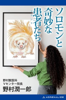 ソロモンと奇妙な患者（クランケ）たち