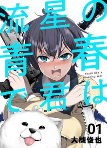 流星の青春で君は（ナンバーナイン）
