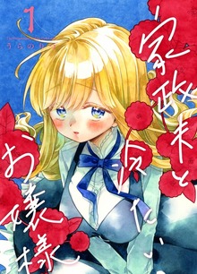 家政夫と冷たいお嬢様（ナンバーナイン）