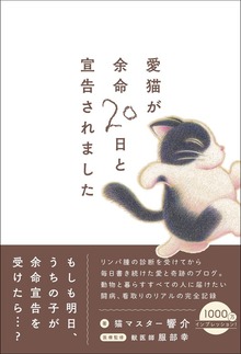 愛猫が余命20日と宣告されました