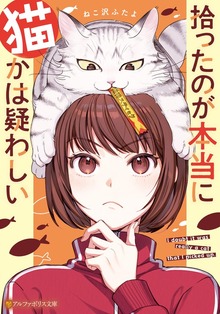 拾ったのが本当に猫かは疑わしい