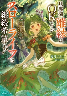旦那様、離縁はOKですがスローライフは継続希望です！（ドラゴンノベルス）
