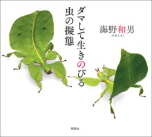 ダマして生きのびる 虫の擬態