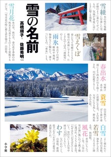 雪の名前 ～まほろば歳時記～