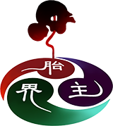 胎界主
